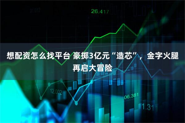 想配资怎么找平台 豪掷3亿元“造芯”，金字火腿再启大冒险