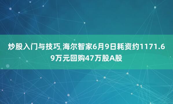 炒股入门与技巧 海尔智家6月9日耗资约1171.69万元回购47万股A股
