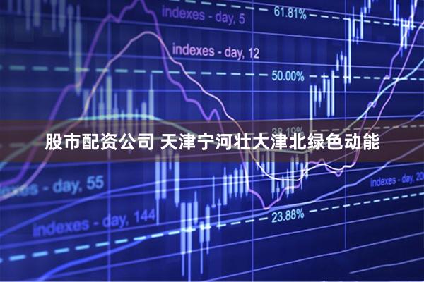 股市配资公司 天津宁河壮大津北绿色动能